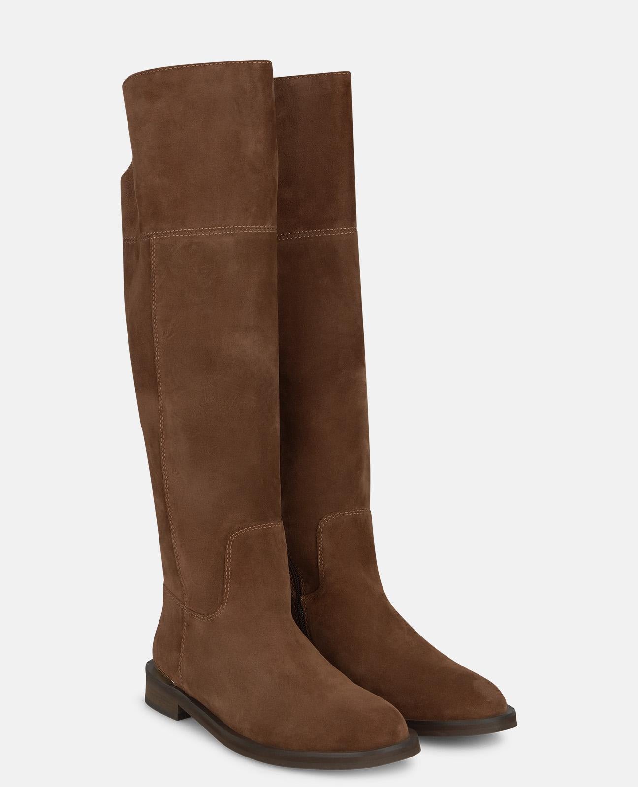 BOTA PLANA DE ANTE