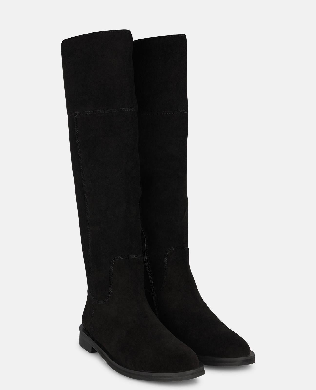 BOTA PLANA DE ANTE