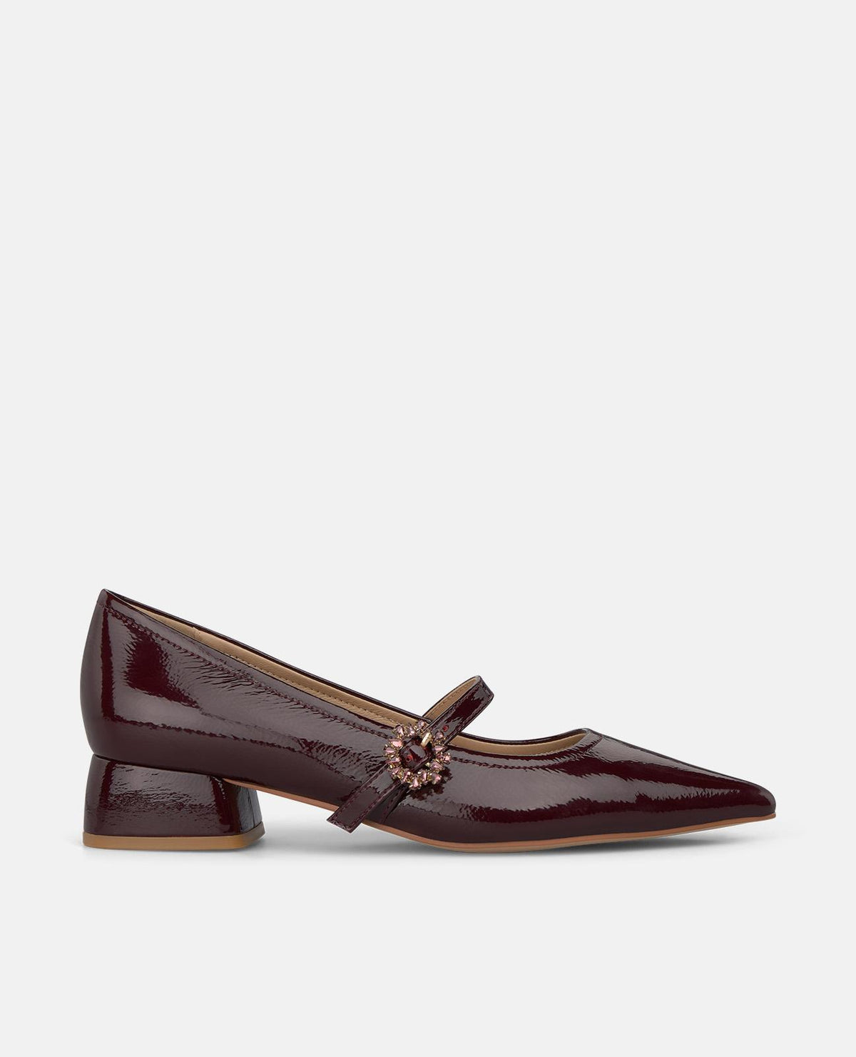 ZAPATO CON HEBILLA