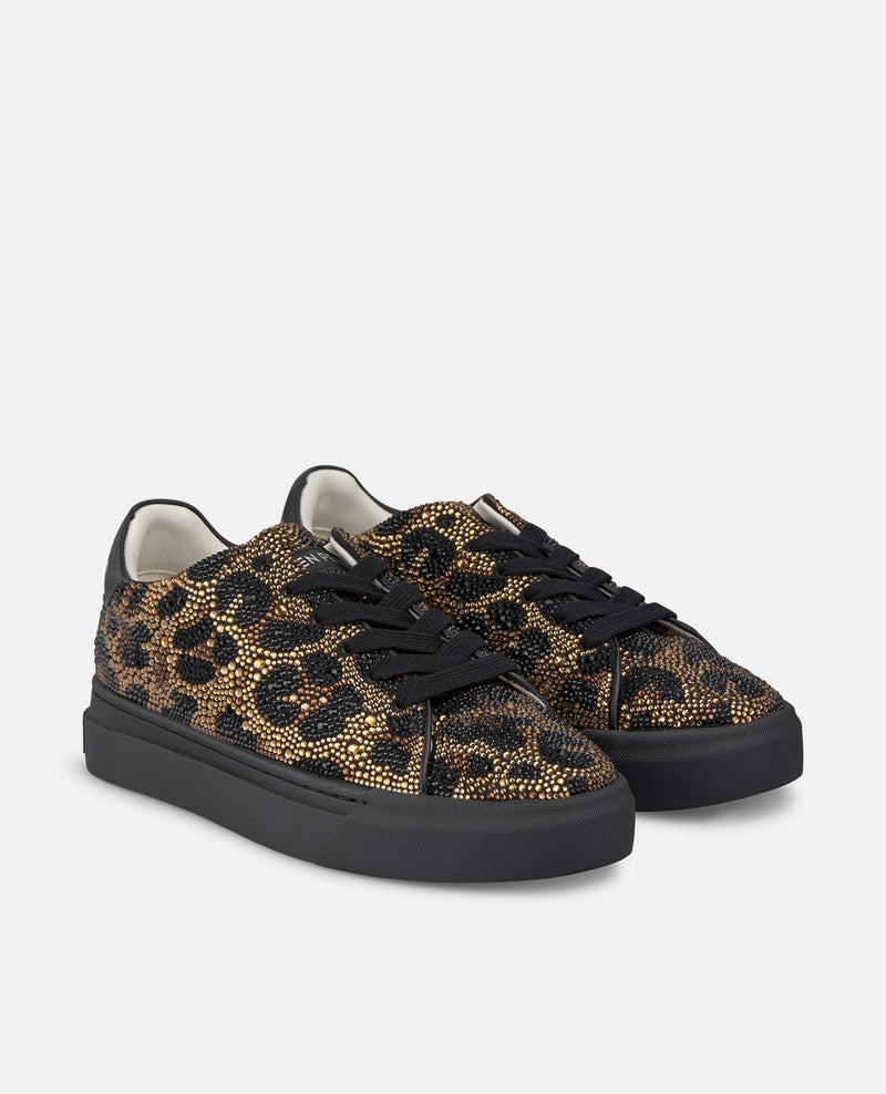 ZAPATILLA DE LEOPARDO PEDRERÍA