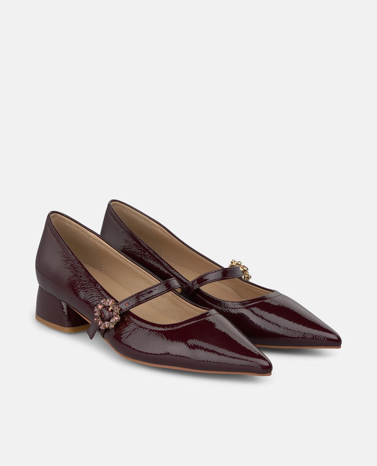 ZAPATO CON HEBILLA